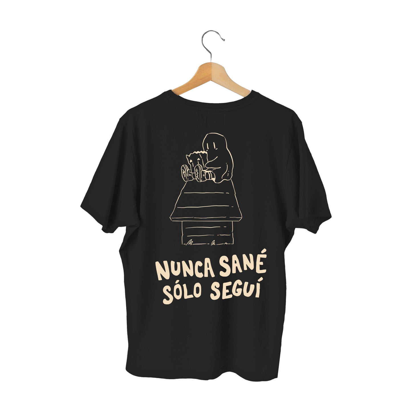 NUNCA SANÉ